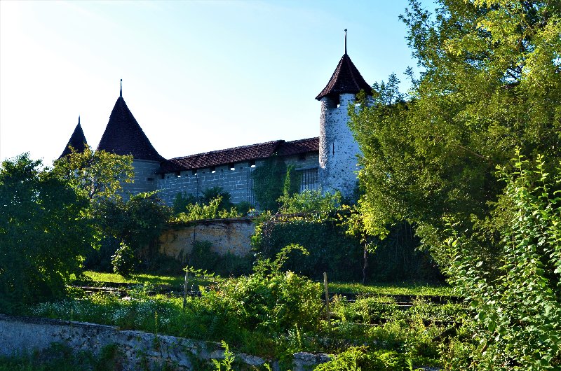 MURTEN-4-9-2019 - Suiza y sus pueblos-2019 (4)