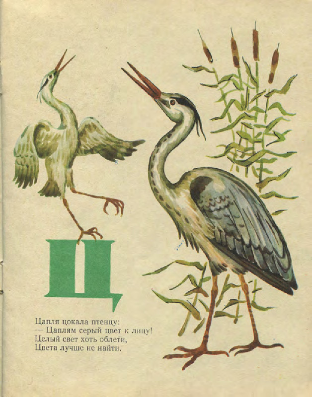 a4586bef434243e0a90da3c2b891f522US9Cc1QdVsKwdBsf-20