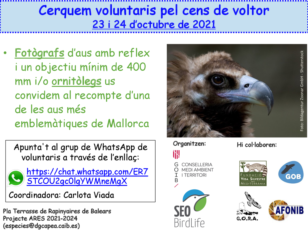 Anunci cens voltor Mallorca 2021 (1)