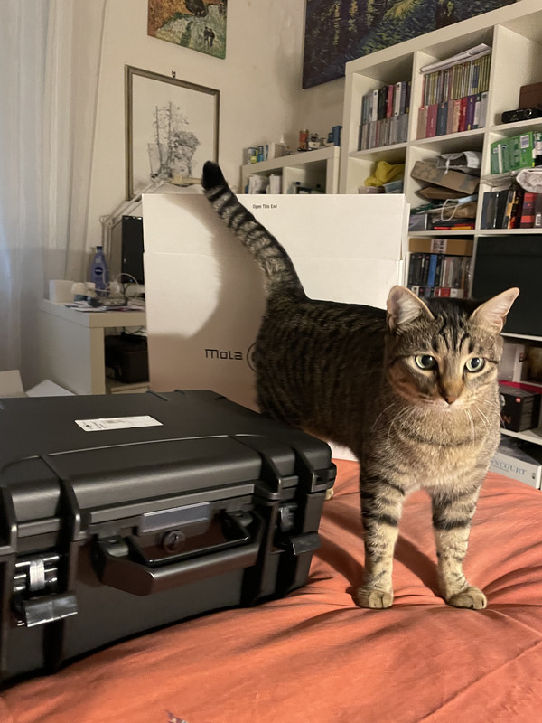 F07-E33-E5-6-AFA-43-CD-B7-EE-ADDAF50-AAF