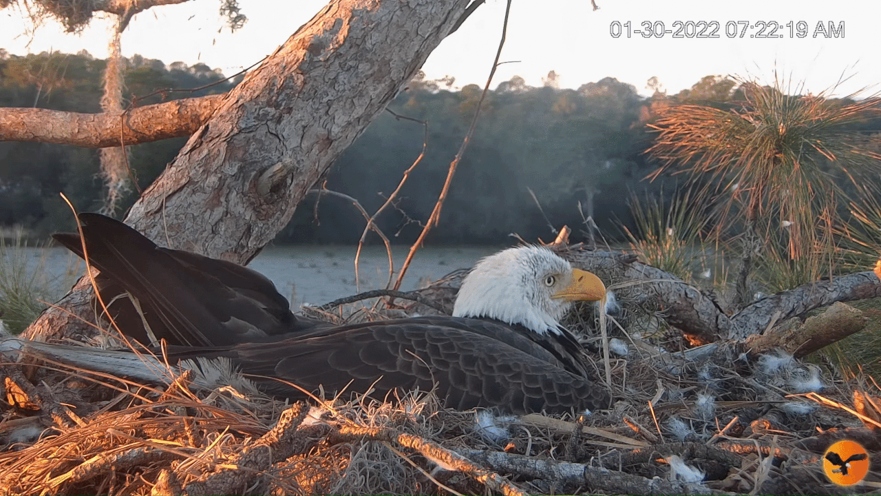 Webp.net-gifmaker (3)