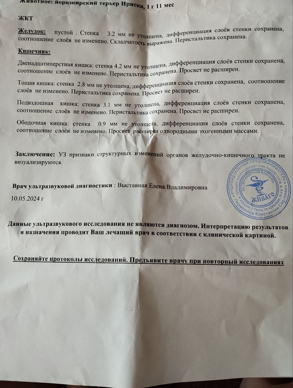 photo_5384252229143353933_контроль узи