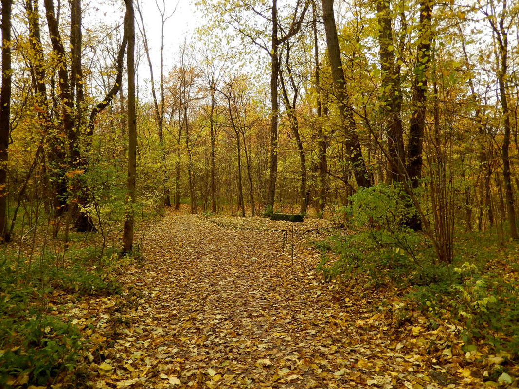 dscn8550.jpg