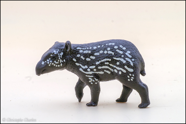 2022 Wildlife Figure of the Year, time for your choices! - Maximum of 5 Schleich-14851-Tapir-young-copie