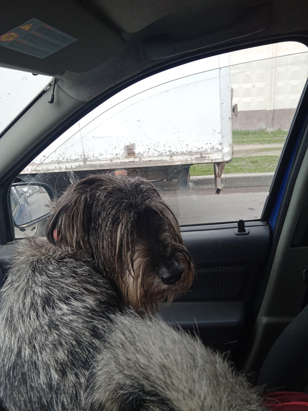 IMG_20220428_114053 (1)