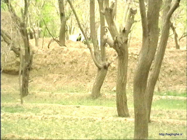 P-Apr04-114712