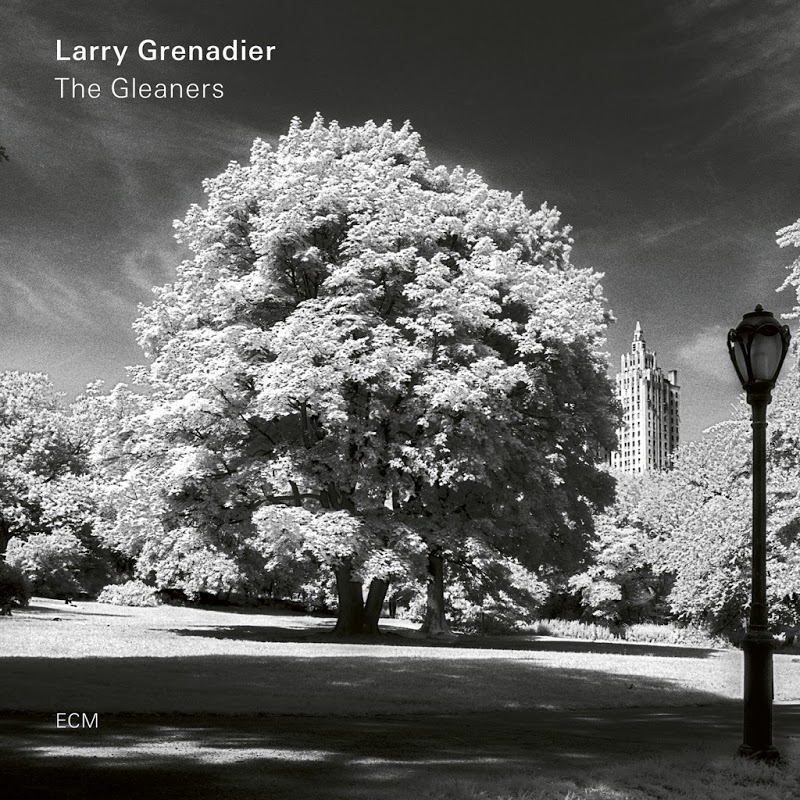 Larry Grenadier - The Gleaners (2019) .mp3 -320 Kbps
