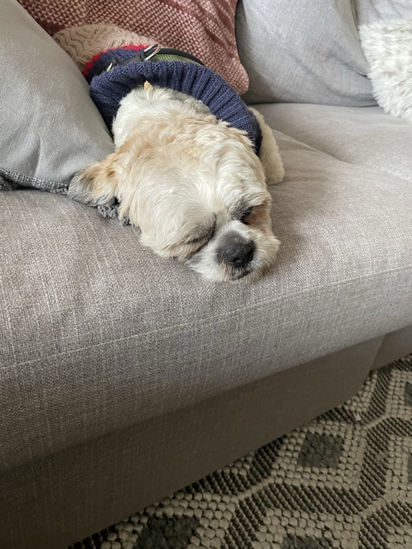 B3-B1983-F-EF0-A-41-C8-B4-BD-442361820-FC4-1-105-c