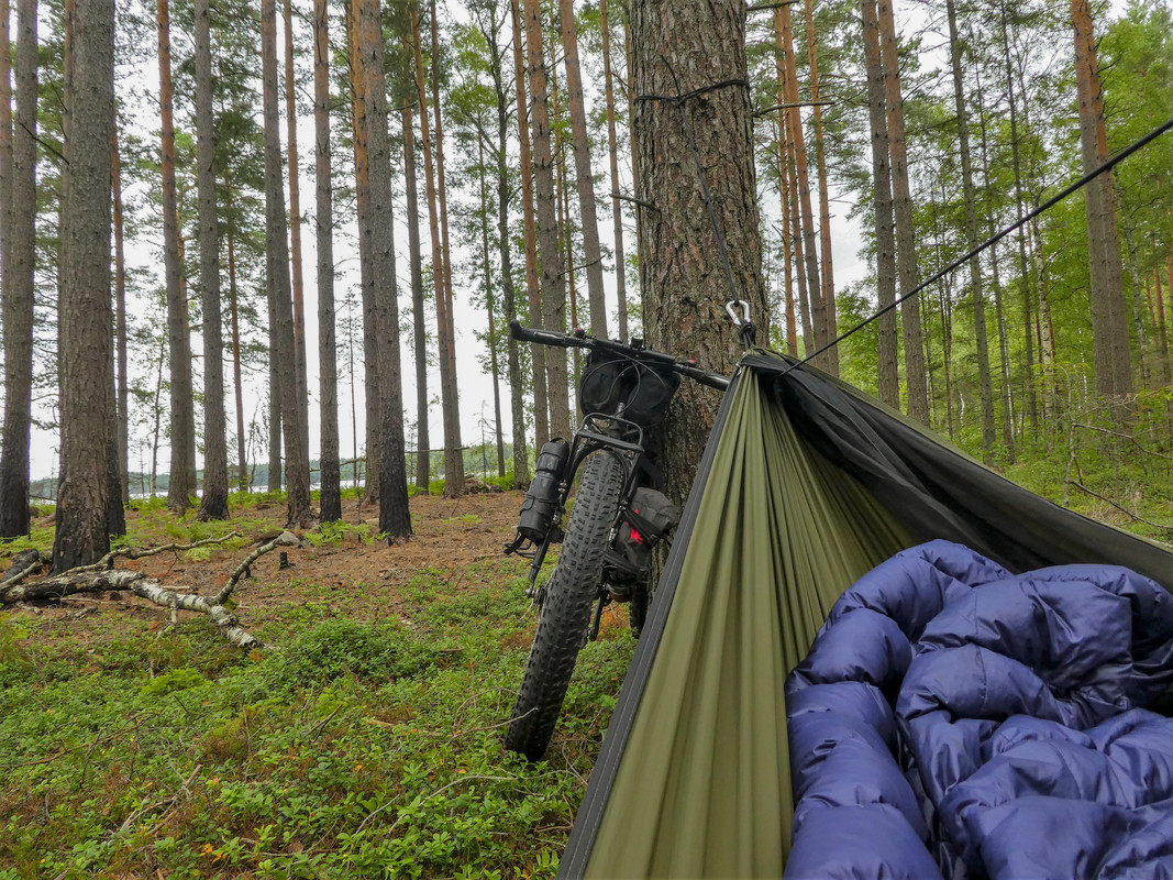 [Linket bilde fra i.postimg.cc]