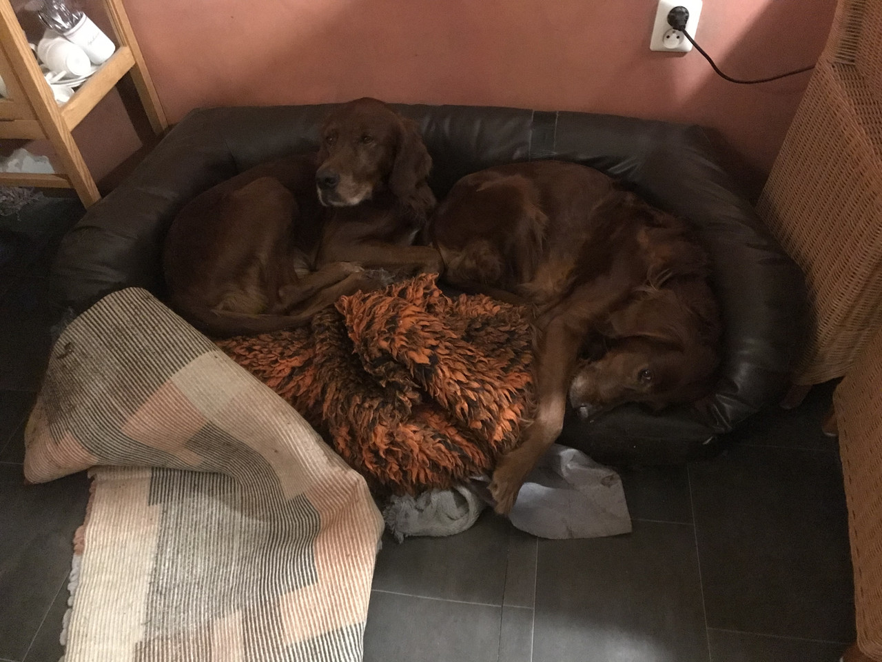 5BEE8CDC 92EB 41EA B391 C499EA1A6A79