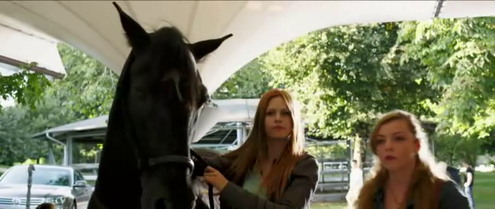 Windstorm-Contro-ogni-regola-2015-BDRip-