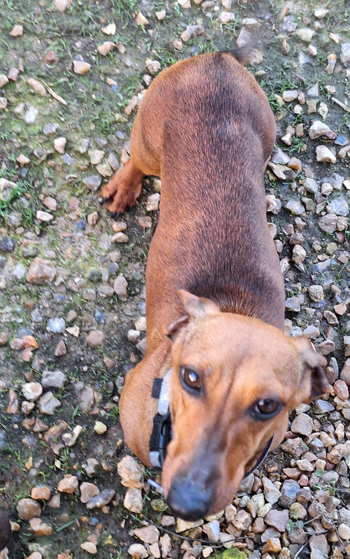 [Image: 20240324-181222.jpg]