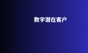 数字潜在客户