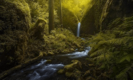 RYAN DYAR - Painting with Light: Artistic Approaches to Dodging and Burning