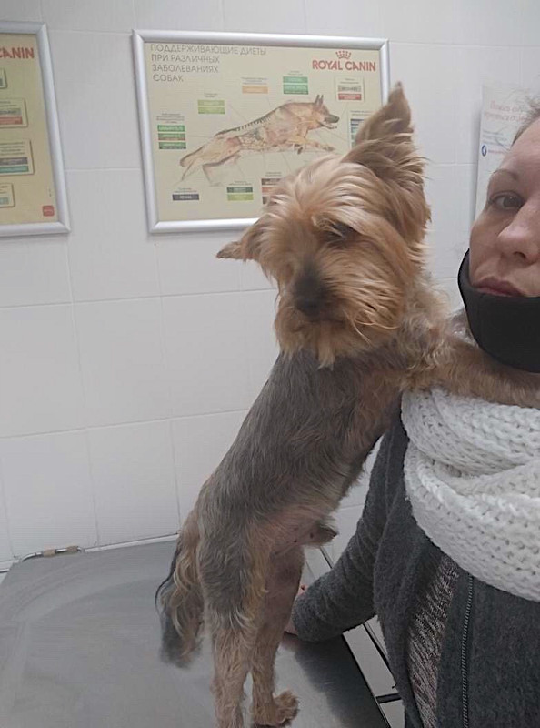 388771B7-24A8-49F1-AB8F-24A49F53ABC6