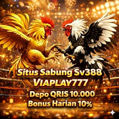 SV388 : Pusat Sambung Ayam Resmi, Akurasi Tinggi & Terbukti