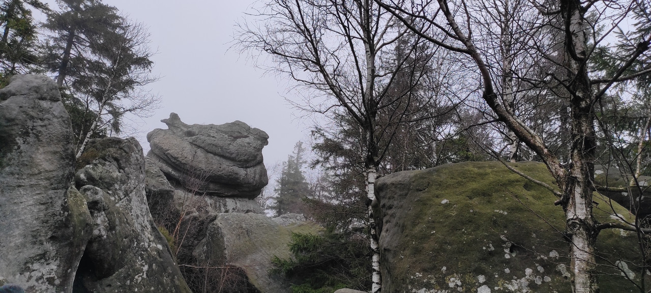 02.26 - IMG_20230429_123259 (Czesio1)