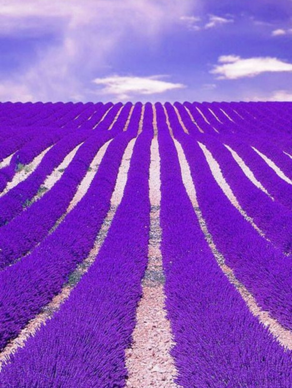 Screenshot_20230717_224944_Pinterest