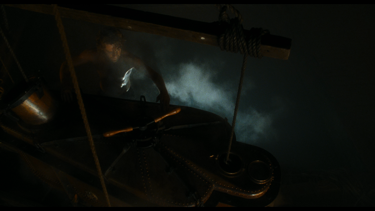 Mary.Shelleys.Frankenstein.1994.UHD.2160p.DTS-HD.MA.5.1.DoVi.P8.by.DVT.mkv_20220327_140129.204