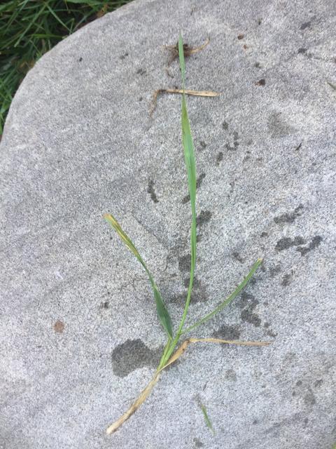 ABA6DC31-7272-44F7-A0EA-EA7E636DB801