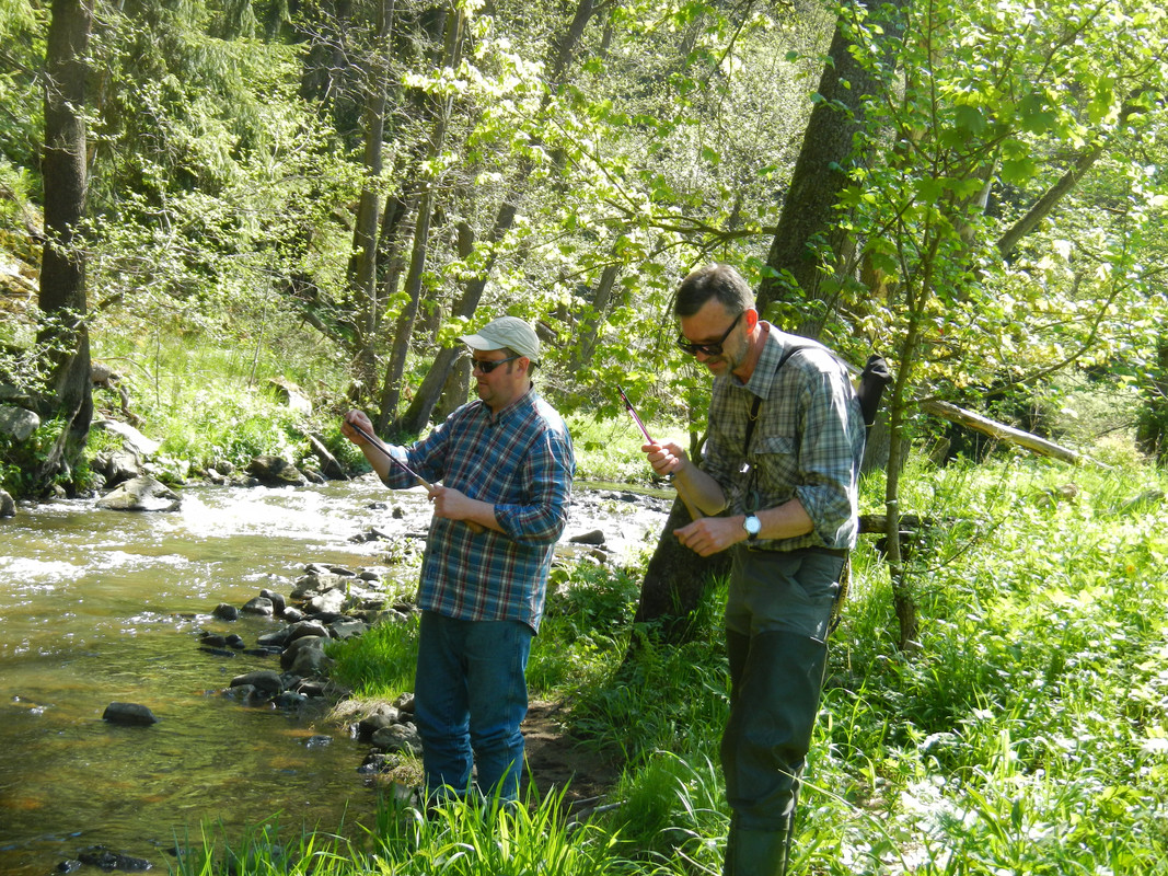 Копировать DSCN4174