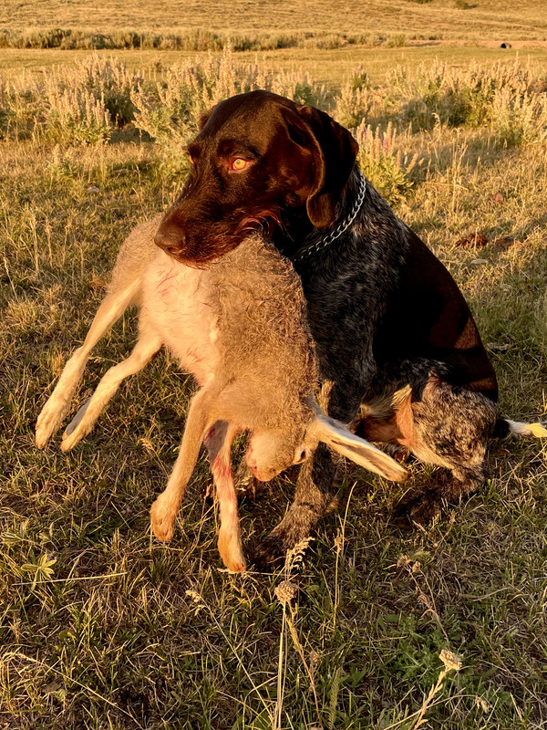 6847C317-6564-47C4-8763-1139FF88FED5