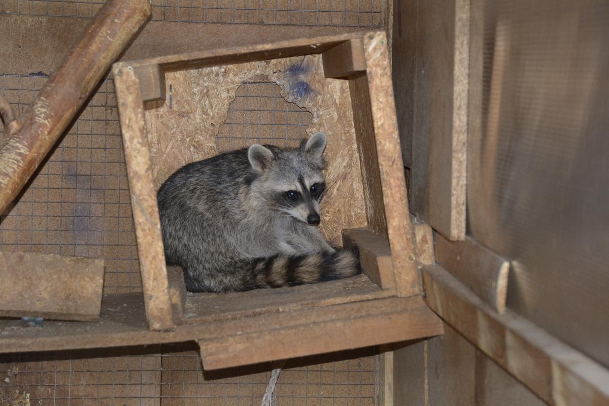 7DB2BD5C-8CBF-4B7A-AC81-F5128E0F22F1