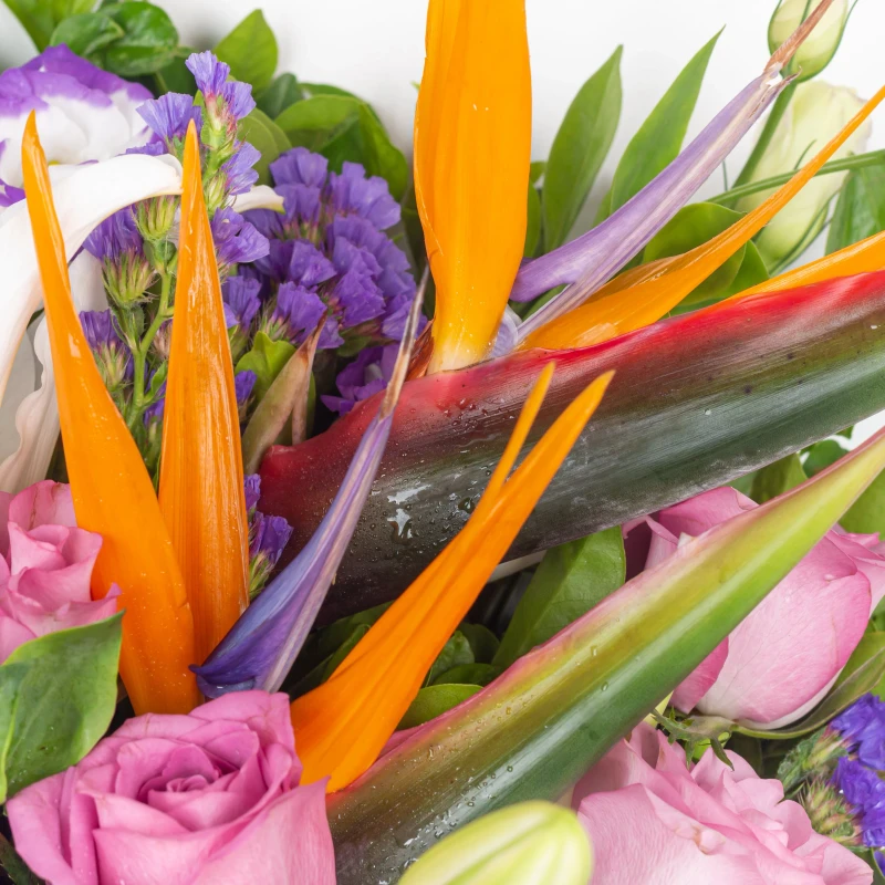 B3-5-4b2a84c3-b6a2-42f8-b3d3-296ca085b7df