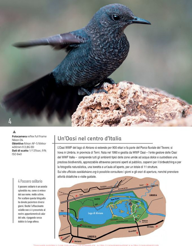 FOTO Cult Ott 2021 (3)