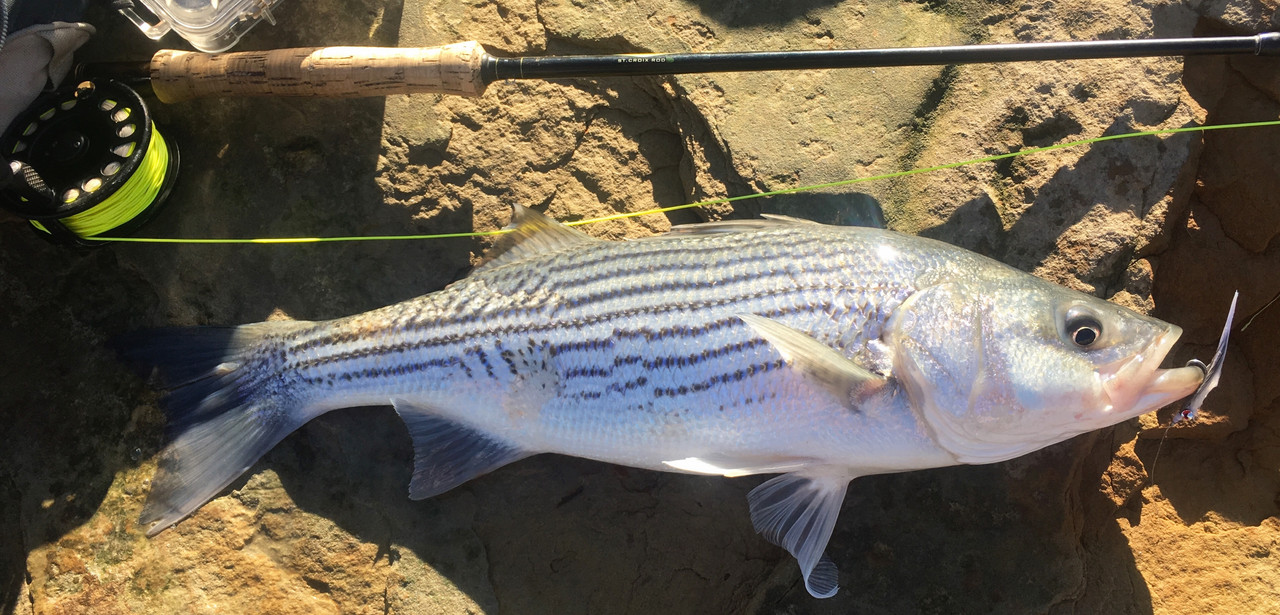 936A9E12-32B2-4998-841D-4BB40614C047