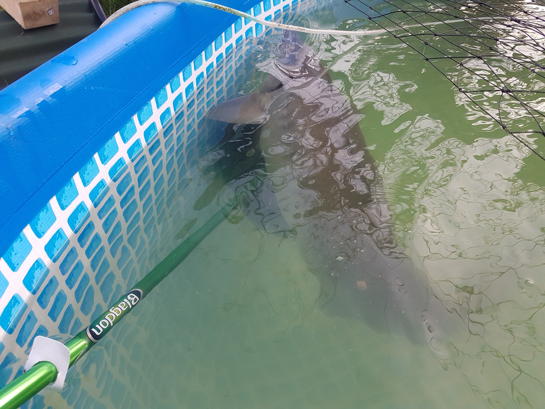 3E2CA92C-BA33-4F1A-A735-37F535D78407