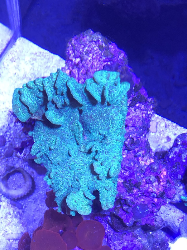 08569C76-8787-4EE7-80F8-E26C241510BA