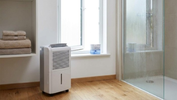 Control Moisture: Stop Mold Growth