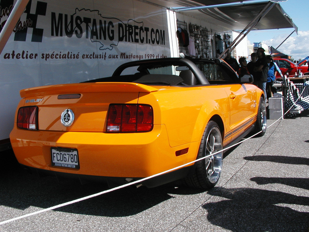 Montréal Mustang: 40 ans et + d’activités! (Photos-Vidéos,etc...) - Page 19 P8120004