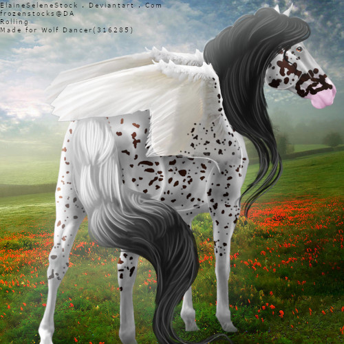 Spotty-Appy.jpg