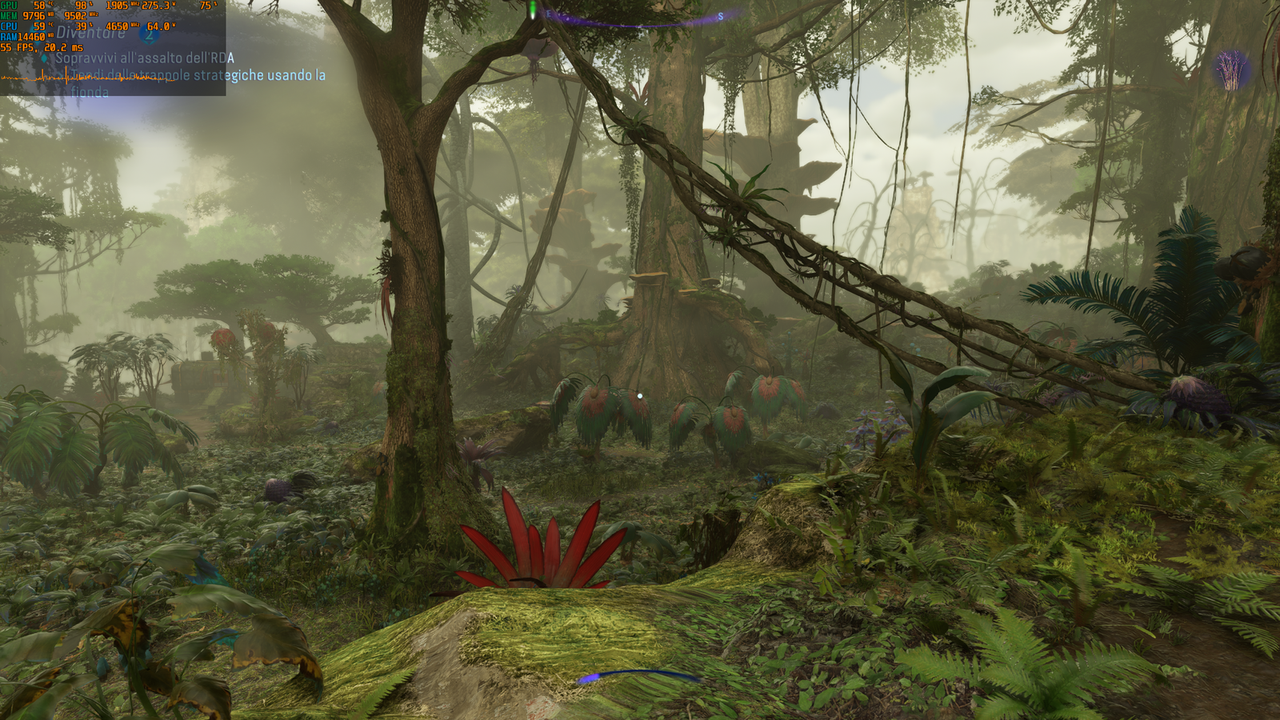 afop_plus_2024_01_02_12_42_11_689