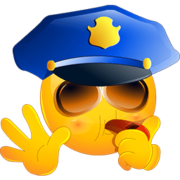 87-police-stop