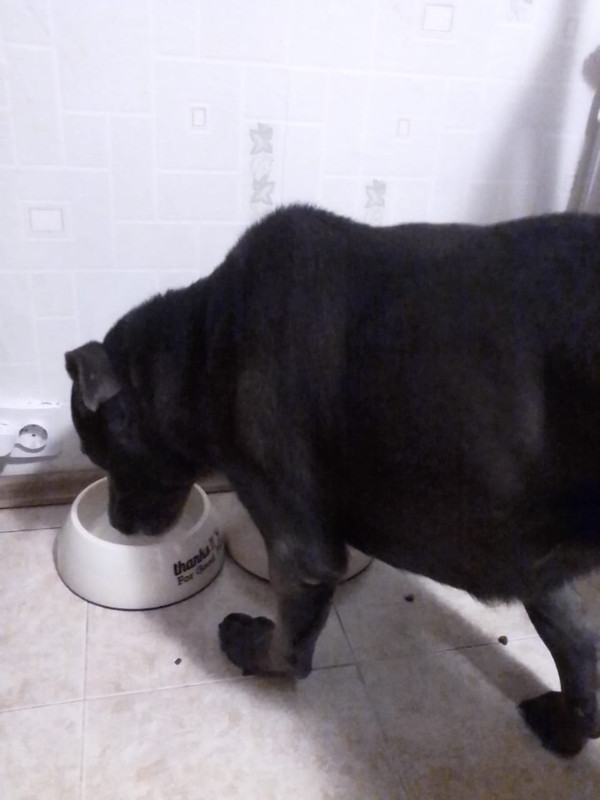 523608E9-A6D3-422F-B271-17A03A76341E