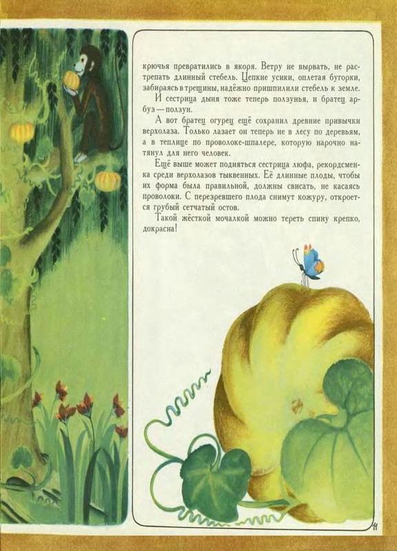 1978-page-001