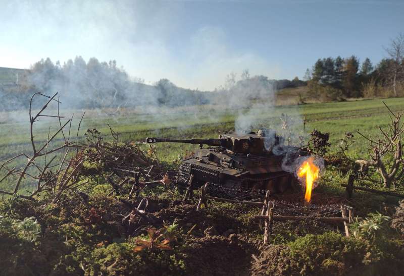 IMG_20241024_153721726_BURST007