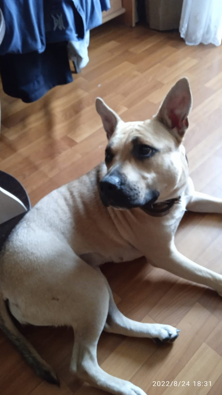 8CFA64FA-E618-4468-BAE7-9FAF4E49EAE3