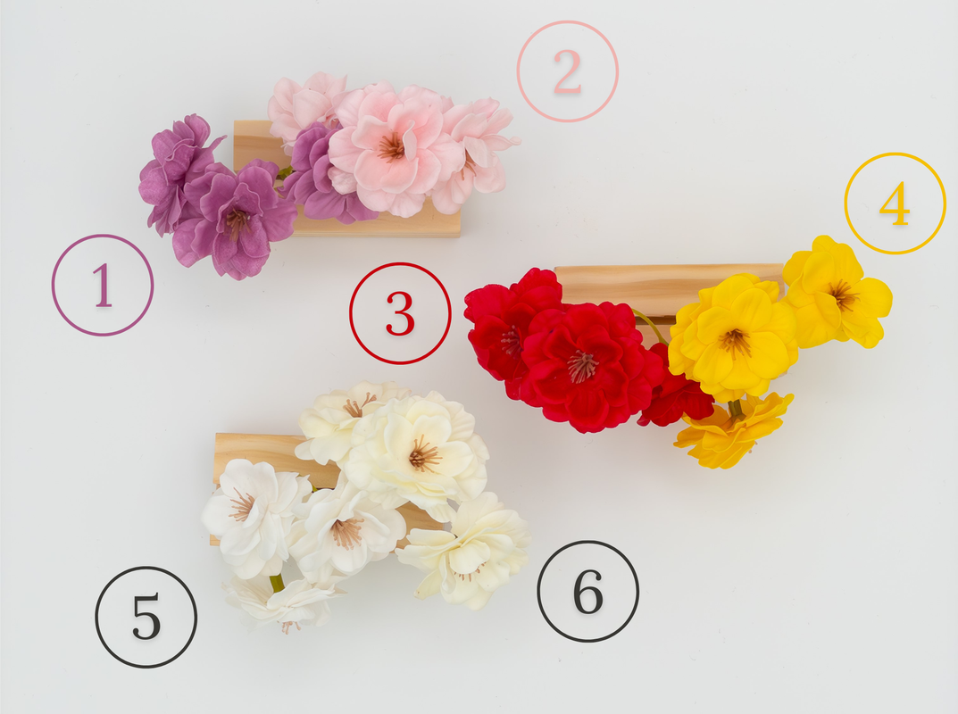 Cor das flores
