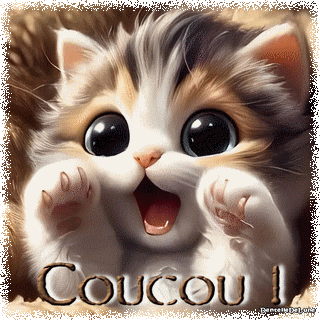 coucou