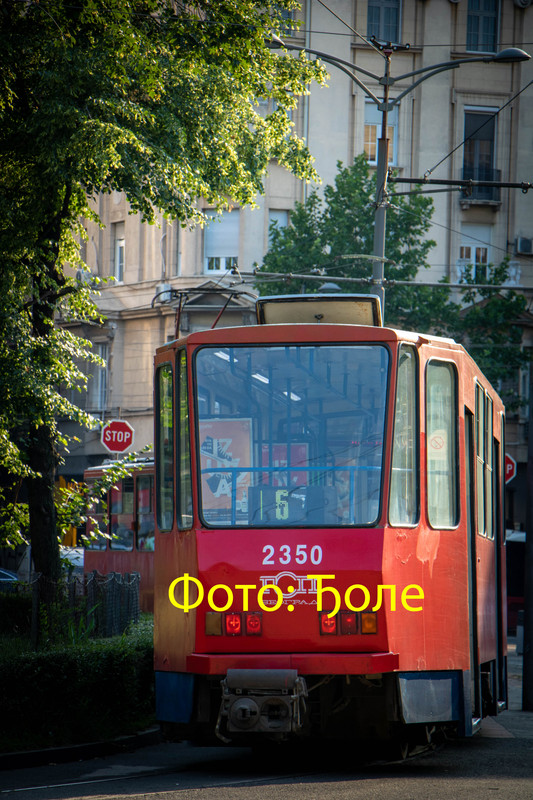 23501.jpg