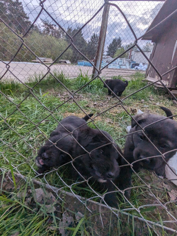 photo_2024-04-23_22-47-42 (4)