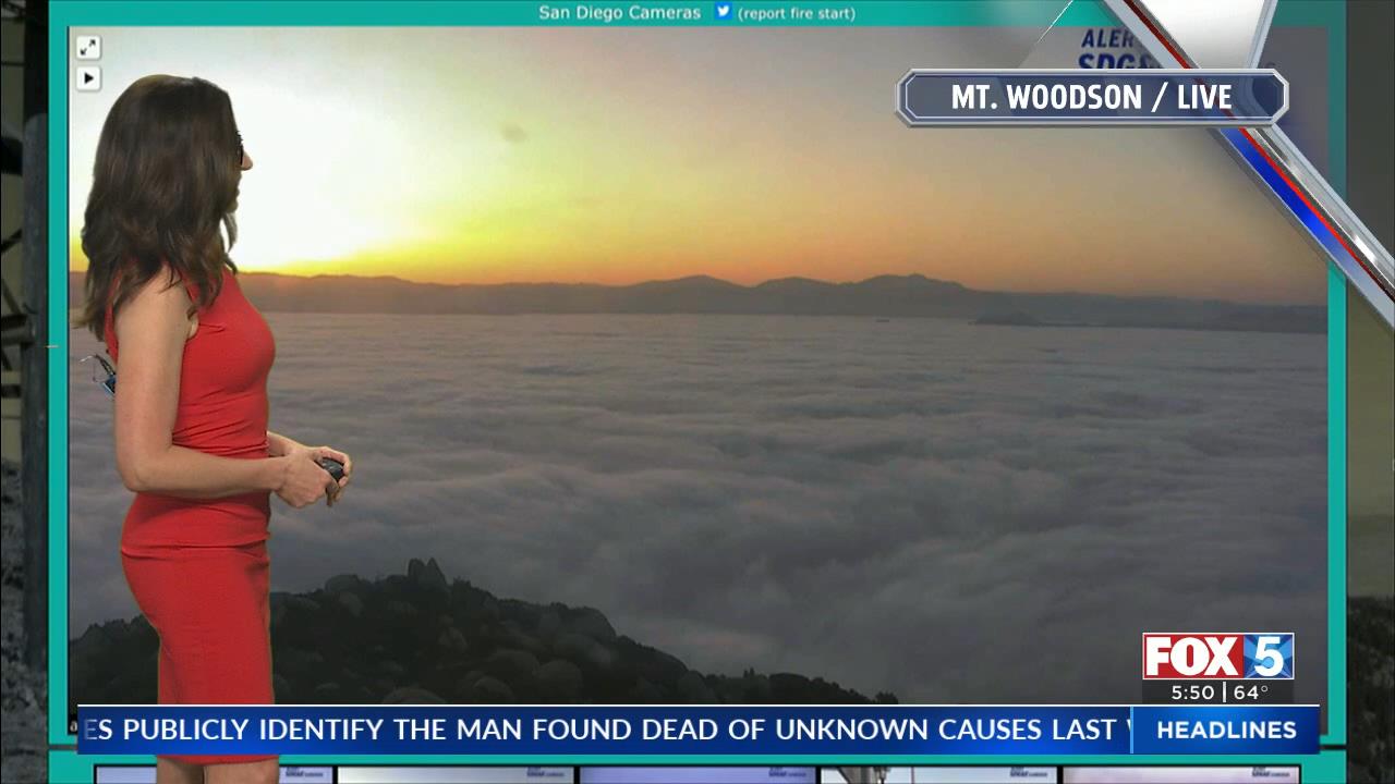 05.13 - 13.00.00 - FOX 5 Morning News at 5 00am  ᴺᵉʷ. Local news, wea..._001.ts_snapshot_05.08_[2021