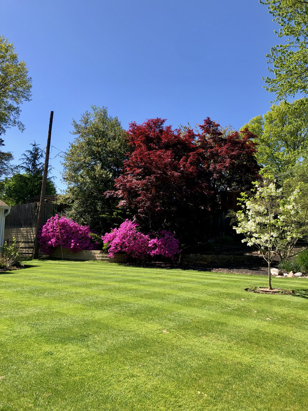 600D63F9-113E-4CA7-87D4-F6856DFF2CBA