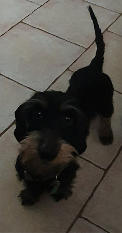 [Image: 20230609-200706.jpg]