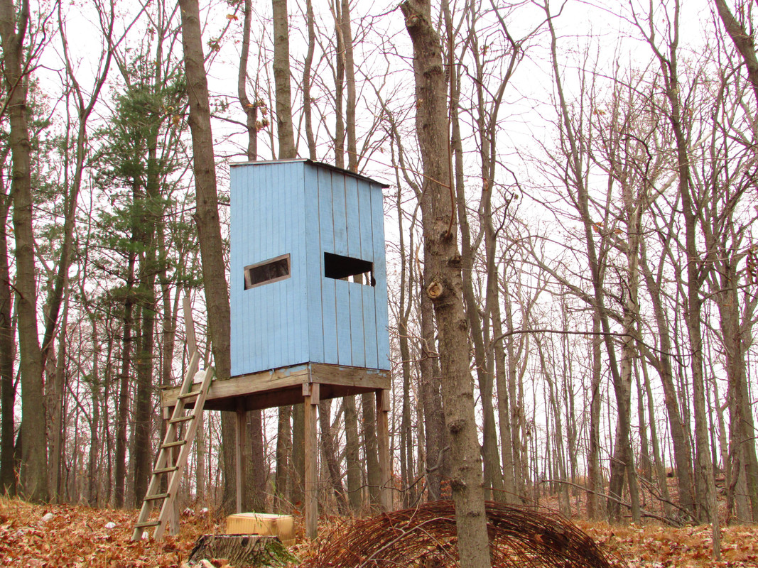 Deer blind south and east windows.