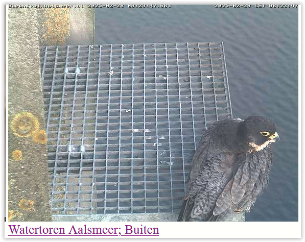 Screen Shot 02-28-25 at 08.24 AM